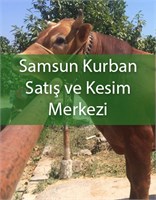 Samsun Kurban Satış ve Kesim Merkezi - Köksallar Kurbanlık